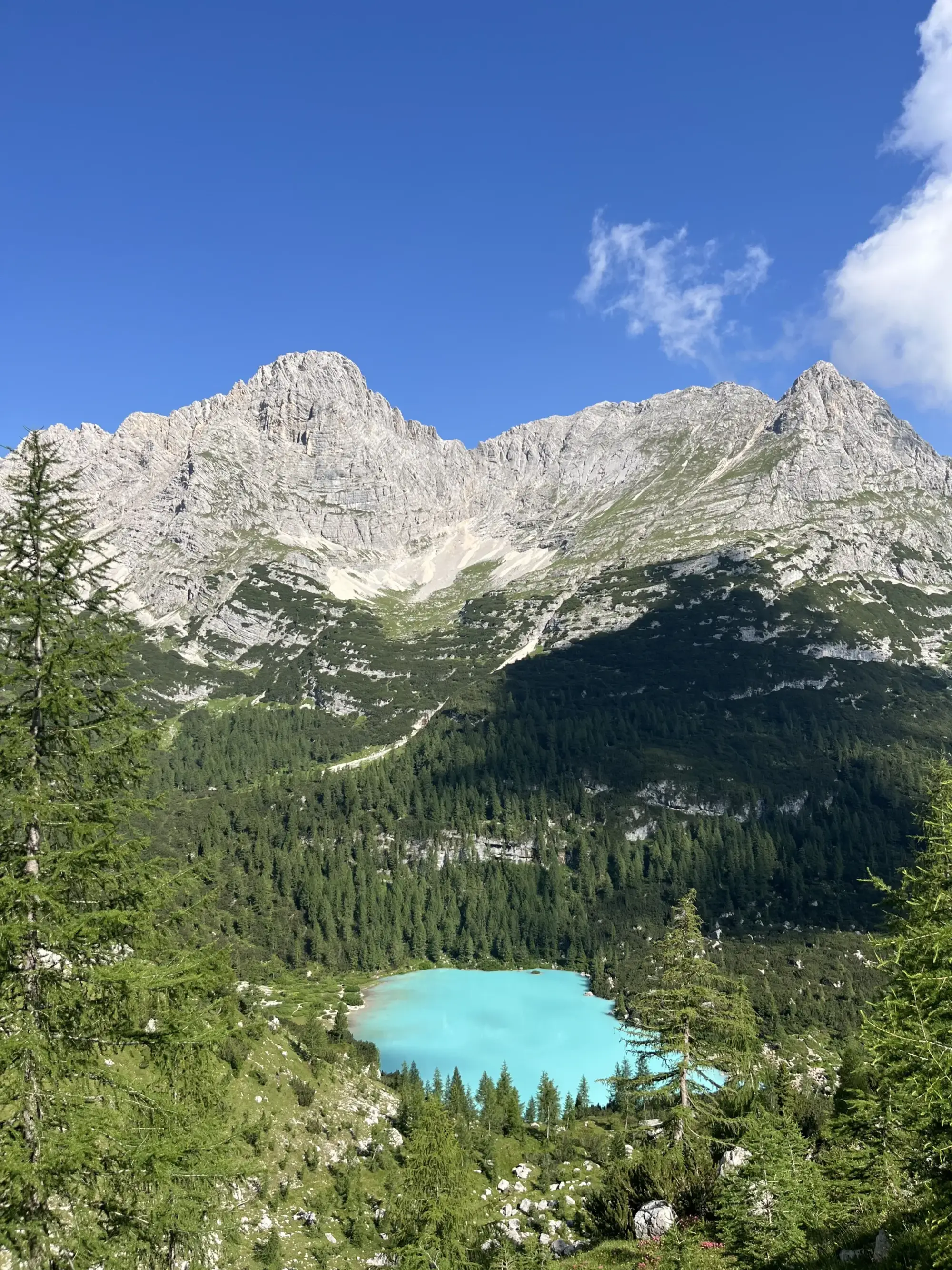 V&ouml;lser Weiher