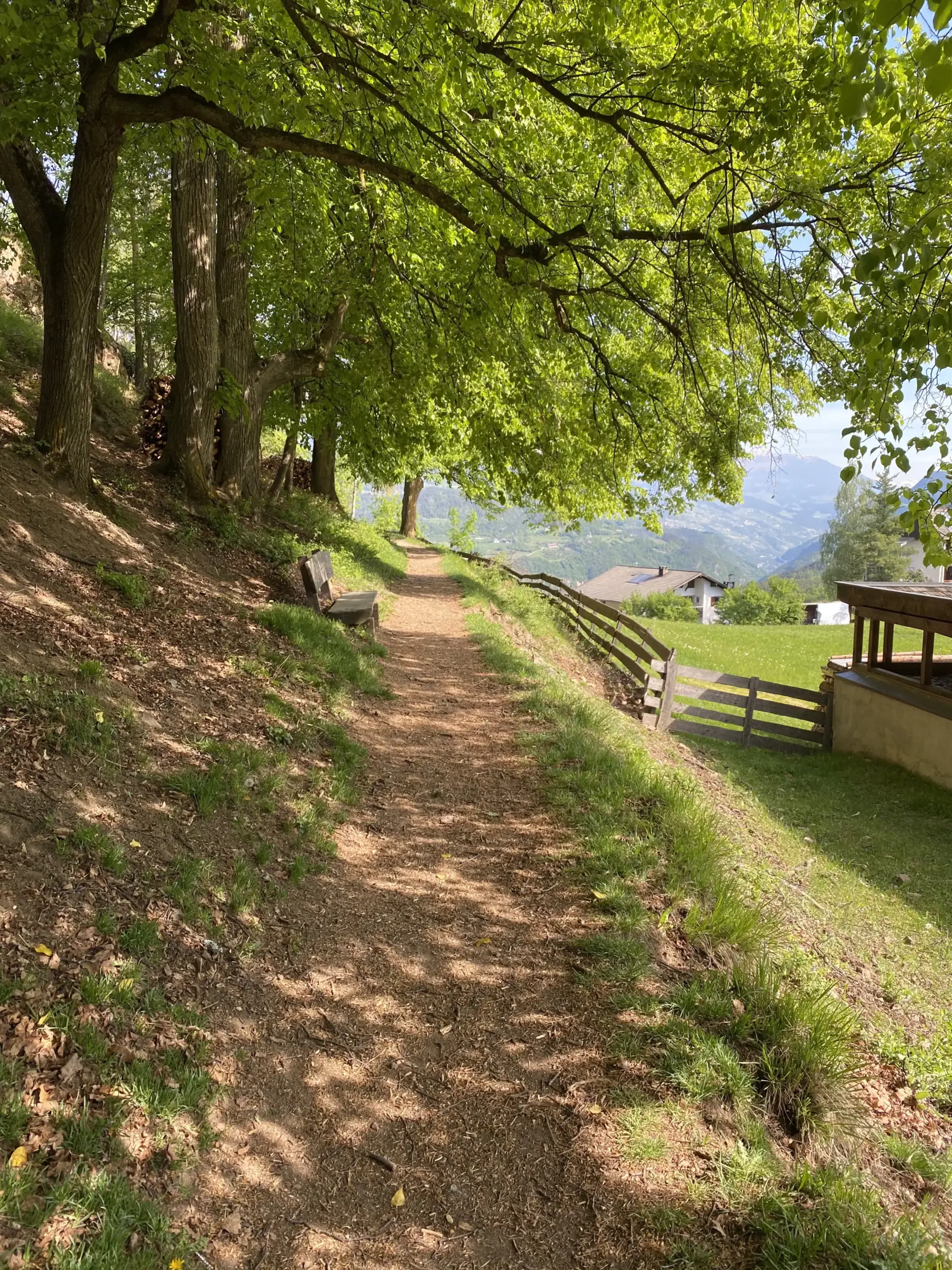 Wanderweg bei Völs am Schlern Wanderweg bei Völs am Schlern