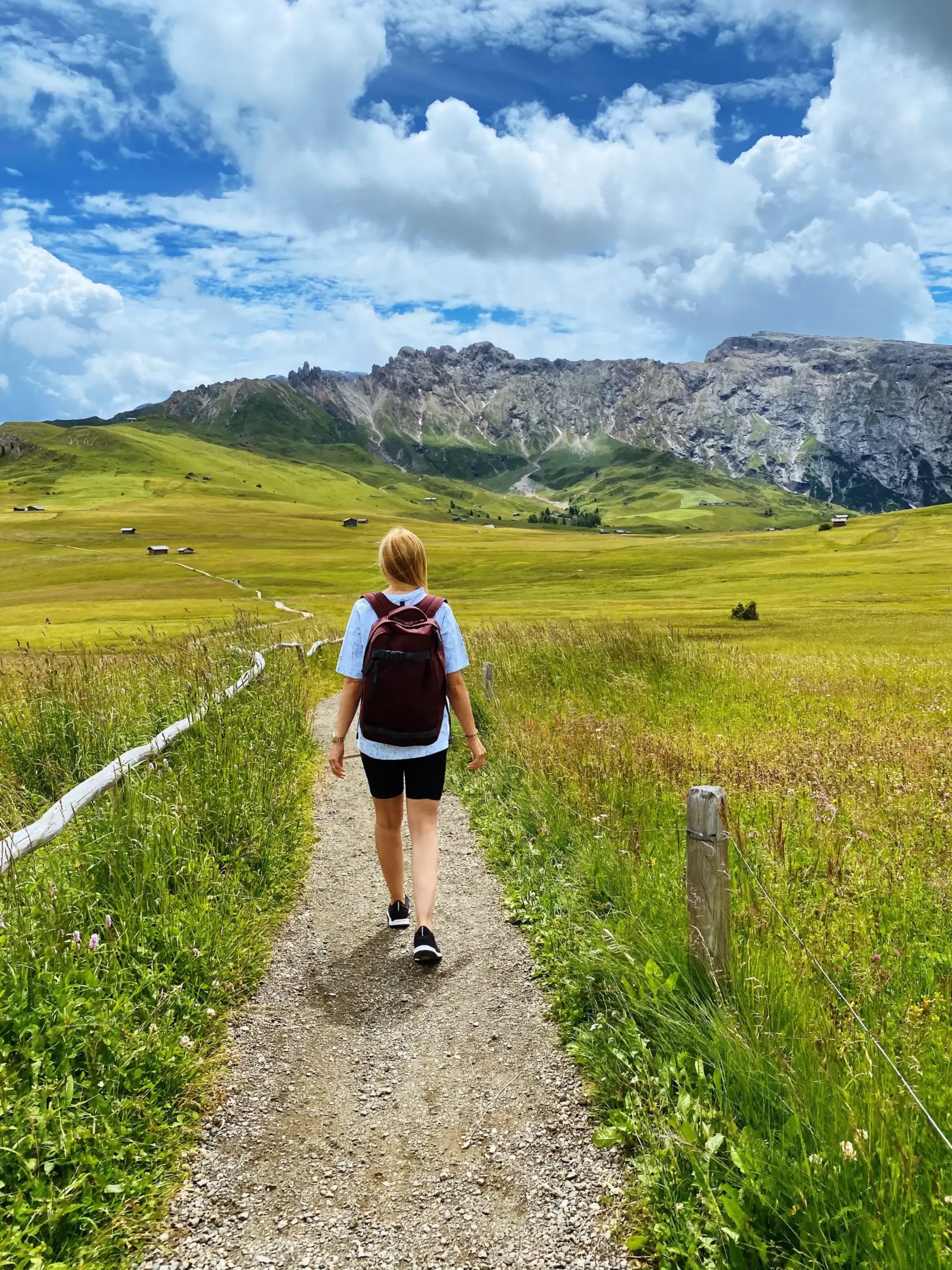Bergblick im Sommer Bergblick im Sommer